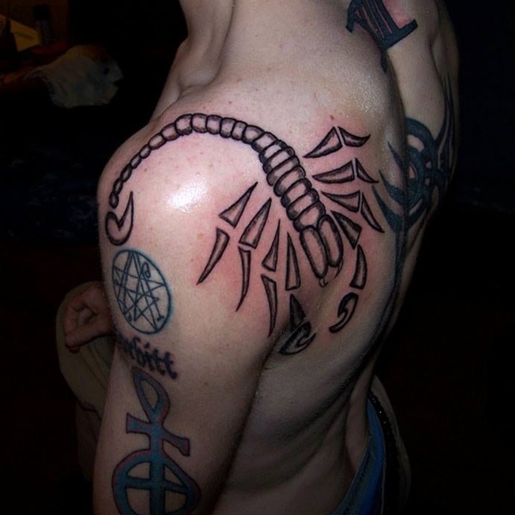 Meet your Posher, Aaron - Picture 1 of 3